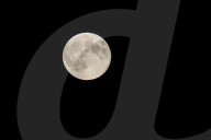 Hunter’s Moon in Kyiv