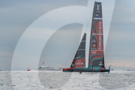 New Zealand wins race 8 and could be champion tomorrow