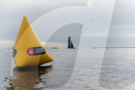 New Zealand wins race 8 and could be champion tomorrow