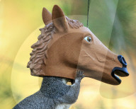 FEATURE - SN_HORSE_HEAD_NUTS_04