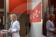 Press conference of the PSC spokesperson