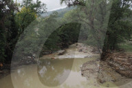 Disagi e danni dopo alluvione a Bologna