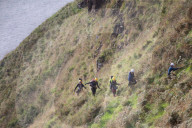 Can culling ferrets and rats save one of the UK’s largest seabird colonies on Rathlin Island?