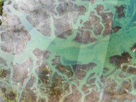 Anger at new Guggenheim in Spanish nature reserve