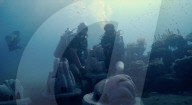 Pet ashes into eco-friendly underwater memorials
