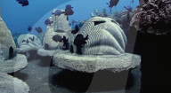 Pet ashes into eco-friendly underwater memorials