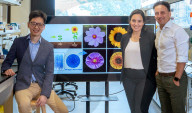 "Flowering" viruses to tackle  harmful bacteria