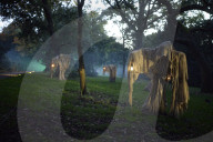 Halloween light trail comes to Kew Gardens, London, UK.