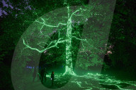 Halloween light trail comes to Kew Gardens, London, UK.