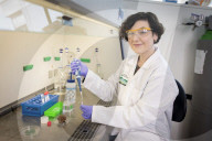 The brain collector: Alexandra Morton-Hayward the scientist unravelling the mysteries of grey matter