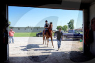13-year-old gelding succeeds as one of USA’s oldest racehorses