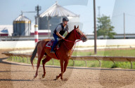13-year-old gelding succeeds as one of USA’s oldest racehorses