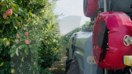 Robot vineyard and orchard crop sprayer