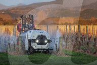 Robot vineyard and orchard crop sprayer