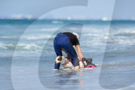FEATURE - Behinderte Hunde beim Spielen am Strand