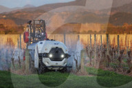 Robot Robotics Plus pulvérisateur pour cultures viticoles et arboricoles