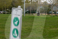 Barcelona - Course and license to own animals in Spain