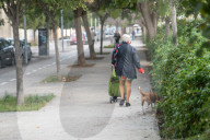 Barcelona - Course and license to own animals in Spain