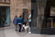 Barcelona - Course and license to own animals in Spain