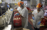 TikTok goes crazy for Straus Family Dairy's cream-on-top milk