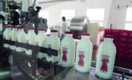 TikTok goes crazy for Straus Family Dairy's cream-on-top milk