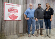 TikTok goes crazy for Straus Family Dairy's cream-on-top milk