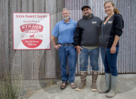 TikTok goes crazy for Straus Family Dairy's cream-on-top milk
