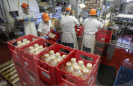 TikTok goes crazy for Straus Family Dairy's cream-on-top milk