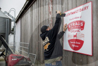 TikTok goes crazy for Straus Family Dairy's cream-on-top milk