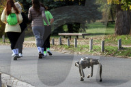 Robot dog at charity run in Ukrainian capital