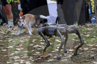 Robot dog at charity run in Ukrainian capital
