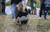Robot dog at charity run in Ukrainian capital