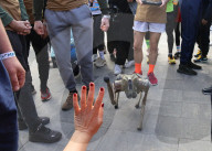Robot dog at charity run in Ukrainian capital
