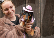 Longdogs, lowriders and creative weiners: Dachshtober Longdog Festival