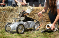 Longdogs, lowriders and creative weiners: Dachshtober Longdog Festival