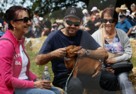 Longdogs, lowriders and creative weiners: Dachshtober Longdog Festival