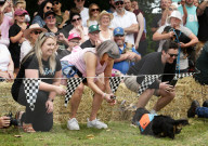 Longdogs, lowriders and creative weiners: Dachshtober Longdog Festival