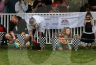 Longdogs, lowriders and creative weiners: Dachshtober Longdog Festival