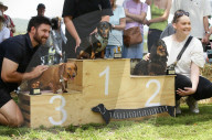 Longdogs, lowriders and creative weiners: Dachshtober Longdog Festival