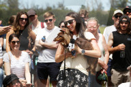 Longdogs, lowriders and creative weiners: Dachshtober Longdog Festival