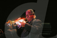 dukas 176912351 dal