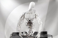 Torso, est un robot bimanuel avec des muscles artificiels, avec une ossature squelettique semblable à celle d'un être humain