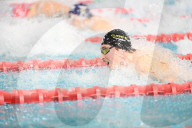 Championnats de France de natation 25m à Montpellier