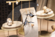 Milano, via Montenapoleone vandalizzate le vetrine di due gioiellerie Omega e Damiani