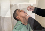 Polio vaccination in Gaza