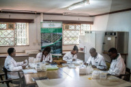 'Not just a museum': Kenya's seed bank offers unexpected lifeline for farmers