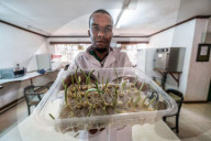 'Not just a museum': Kenya's seed bank offers unexpected lifeline for farmers