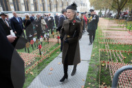 Opening of Field of Remembrance in London