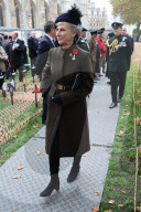 Opening of Field of Remembrance in London