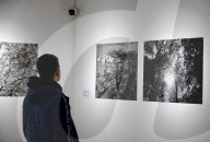 Open Day at Odesa National Art Museum